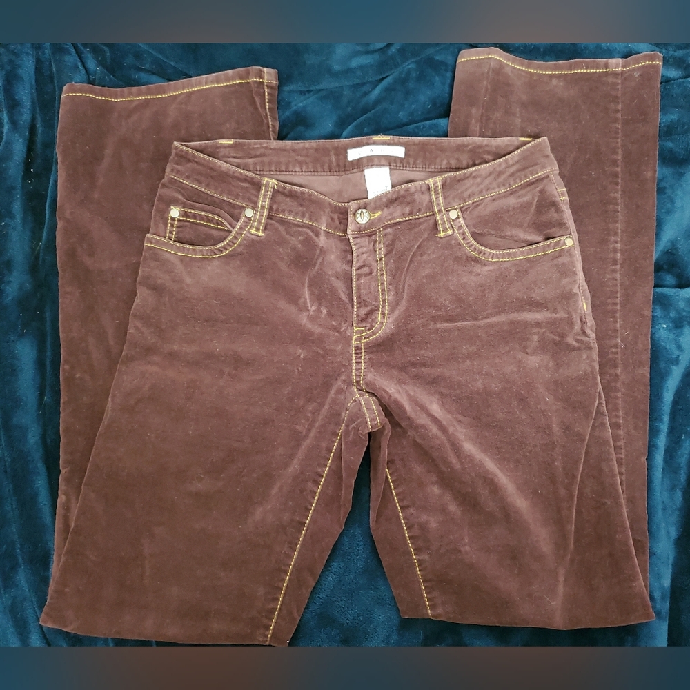 Cabi size 8 Maroon Burgandy Velvet Velour